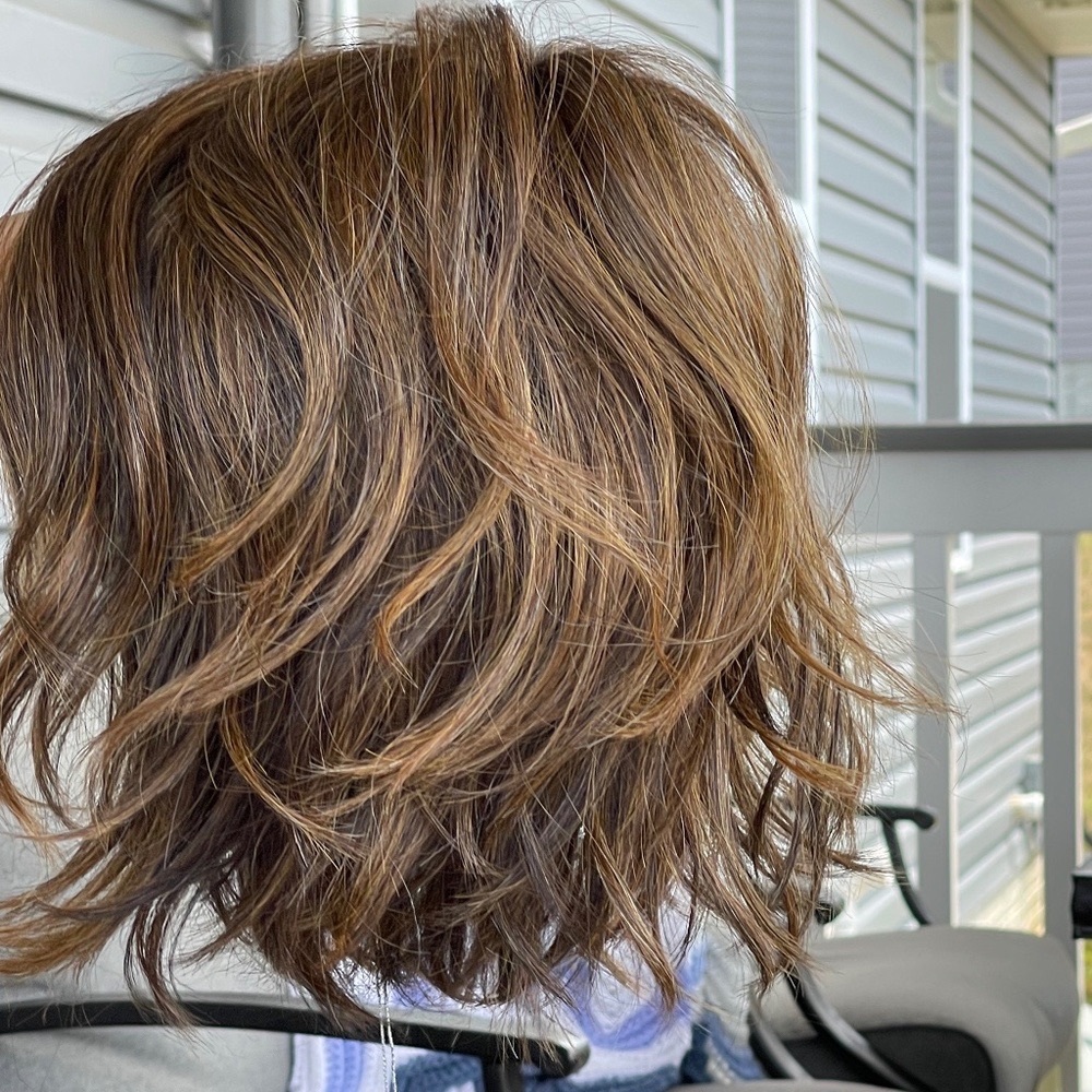 Wig NWT UNFILTERED Raquel Welch 8/29ss (SS Hazelnut)